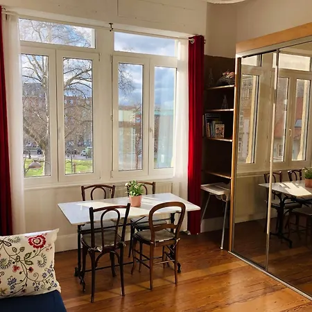 4 Etoiles Magnifique Neustadt - Spacieux, & Elegant Avec Balcon Et Belle Vue * Straatsburg