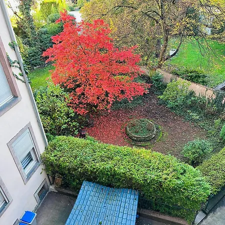 4 Etoiles Magnifique Neustadt - Spacieux, & Elegant Avec Balcon Et Belle Vue Appartement Straatsburg